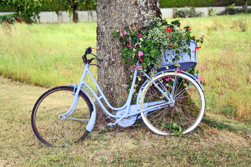 Fototapeta premium Le vélo