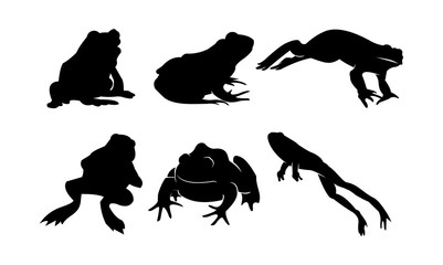 Obraz premium Vector Silhouette of Frog and Toad in Bundle