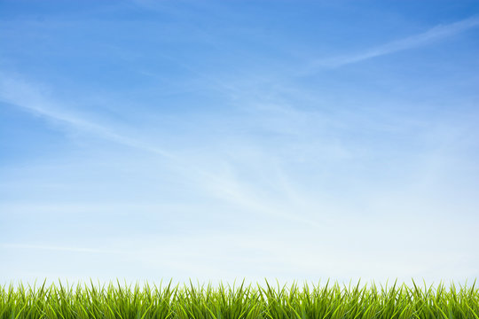 Grass grass under blue sky and clouds