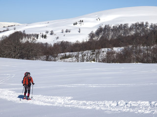 A man in snowshoes is the snow.