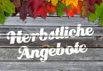 herbstliche angebote auf holzhintergrund mit herbstlaub