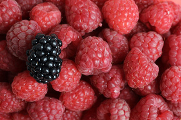 raspberries and blackberries background