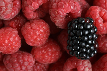 raspberries and blackberries background
