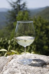 Verre de vin blanc devant un paysage de montagne