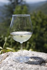 Verre de vin blanc devant un paysage de montagne