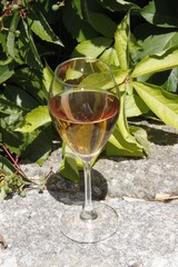 Verre de vin rosée devant une vigne