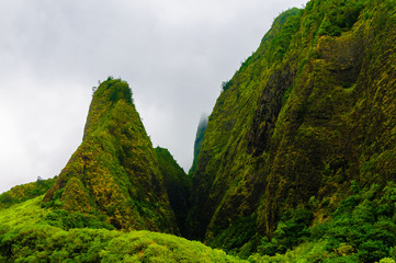 Naklejka premium Overview of the Iao Needle State Park Maui Hawaii USA