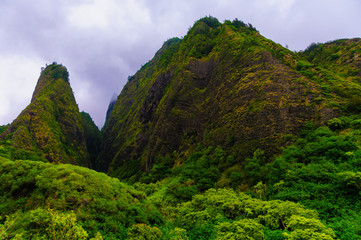 Fototapeta na wymiar Overview of the Iao Needle State Park Maui Hawaii USA