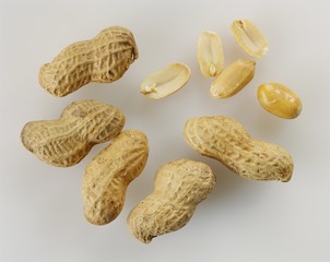 Peanuts