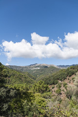 Fototapeta na wymiar vistas del paisaje del valle del genal en la provincia de Málaga, Andalucía
