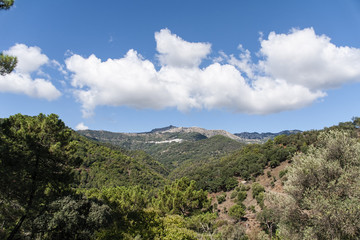 Fototapeta na wymiar Vistas del conocido valle del genal en la provincia de Málaga, Andalucía