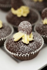 Chocolate cupcakes