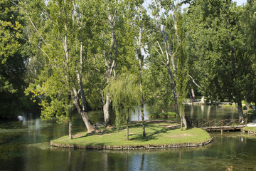 Fototapeta premium isola
