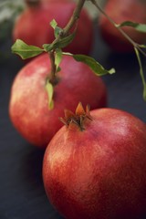 Fototapeta na wymiar Pomegranates with branch