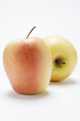 Two apples (variety 'Marlene')