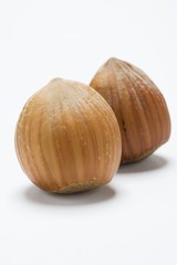 Two hazelnuts