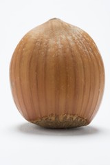 A hazelnut