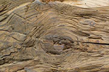 background - close up of the old weathered wood
