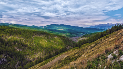 Fototapeta na wymiar gloomy sky over the mountain valley of Altai