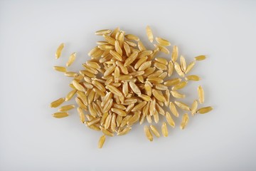 Kamut grains