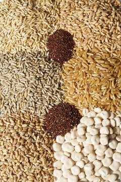 Seven different types of cereal grains (full-frame)