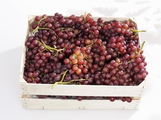 Red grapes in crate