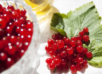 Berries on the table