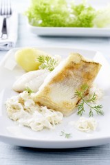 Fried zander fillet on sauerkraut with Riesling