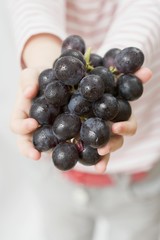 Child holding red grapes