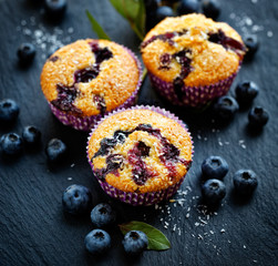 Blueberry muffins, delicious dessert or breakfast