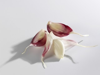 Cloves of garlic
