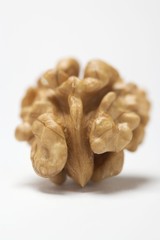 Shelled walnut