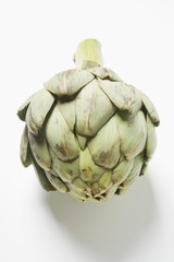 Obraz premium An artichoke