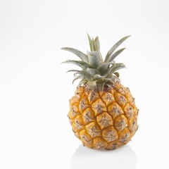A baby pineapple