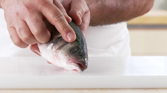 The characteristics of a fresh fish