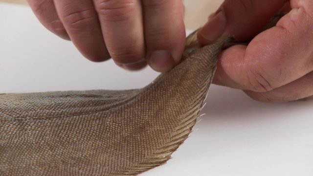 Sole being prepared - removing the skin