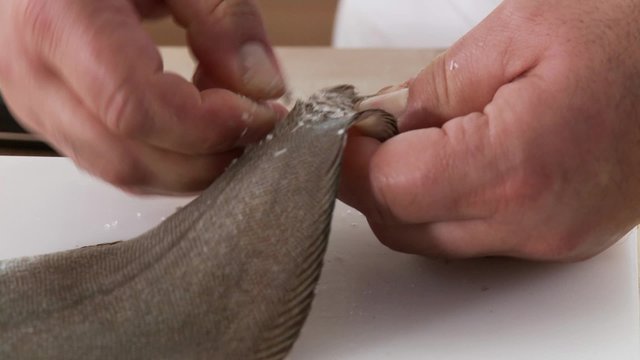 The skin being removed from a sole (first sprinkle salt on the skin to enable a better grip)
