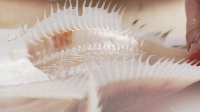 Sole being prepared - skin being removed
