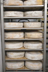 Cheeses stored in order of age