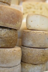 Several Pecorino cheeses of different ages