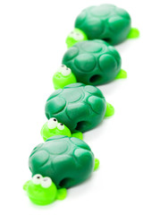 Turtles
