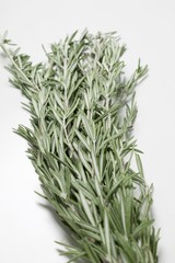 Fototapeta premium Fresh rosemary