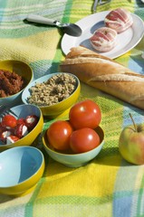 Tomatoes, sandwich spreads, baguette etc. on picnic cloth