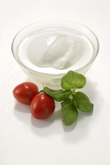 Mozzarella in brine, tomatoes and basil