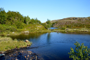 Лето на Побережье Баренцева моря