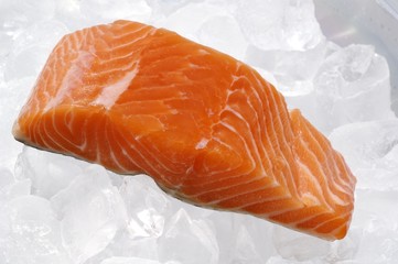 Salmon fillet on ice
