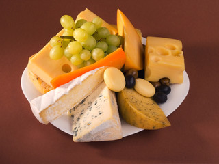 Cheese still life