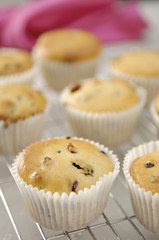Obraz na płótnie Canvas Dried fruit muffins