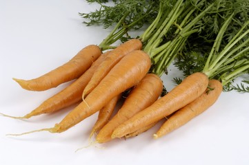 Fresh Bunch of Carrots with Greens on White Background