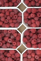 Raspberries in punnets